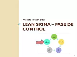 lean sigma fase de control