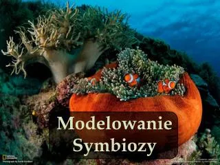 modelowanie symbiozy