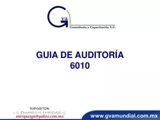 guia de auditor a 6010