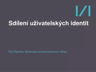 sd len u ivatelsk ch identit