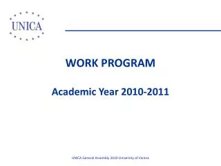 WORK PROGRAM Academic Year 2010-2011