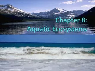 Chapter 8: Aquatic Ecosystems