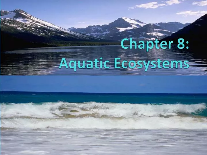 chapter 8 aquatic ecosystems