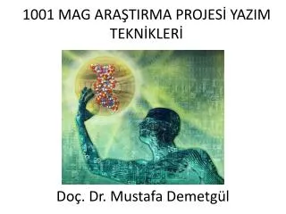 1001 mag ara tirma projes yazim tekn kler