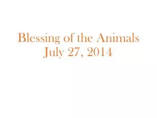 Blessing of the Animals July 27, 2014