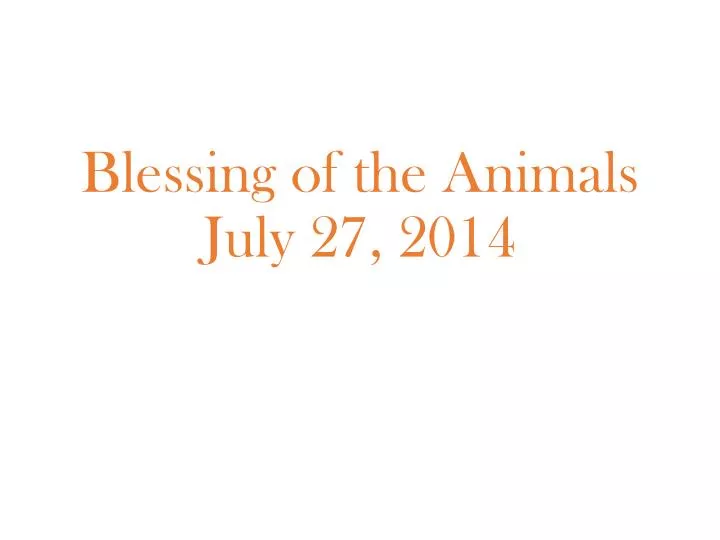 blessing of the animals july 27 2014