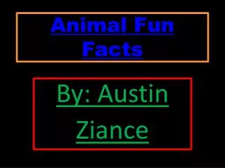 Animal Fun Facts