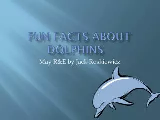 Fun Facts about Dolphins