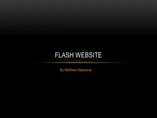 Flash Website