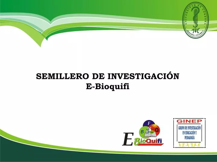 semillero de investigaci n e bioquifi