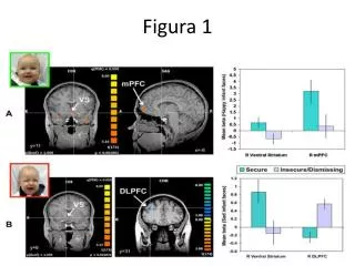 figura 1