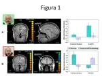 Figura 1 - slide 1