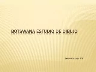 botswana estudio de dibujo