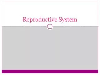 Reproductive System