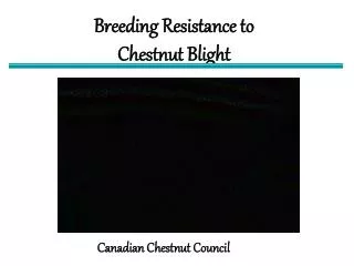 Breeding Resistance to Chestnut Blight