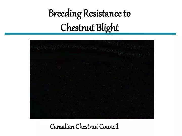 breeding resistance to chestnut blight