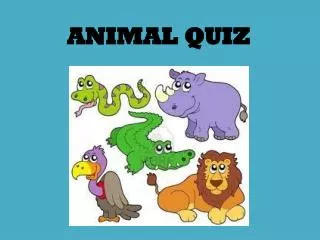 ANIMAL QUIZ