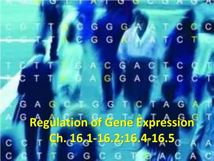 regulation of gene expression ch 16 1 16 2 16 4 16 5