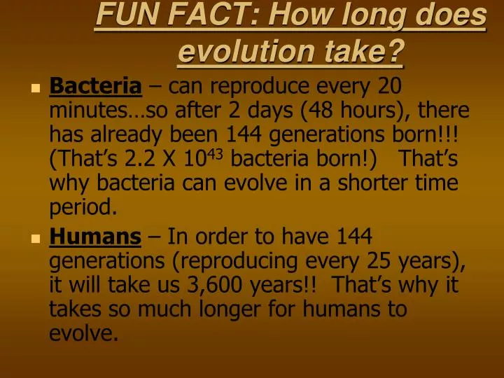 fun fact how long does evolution take