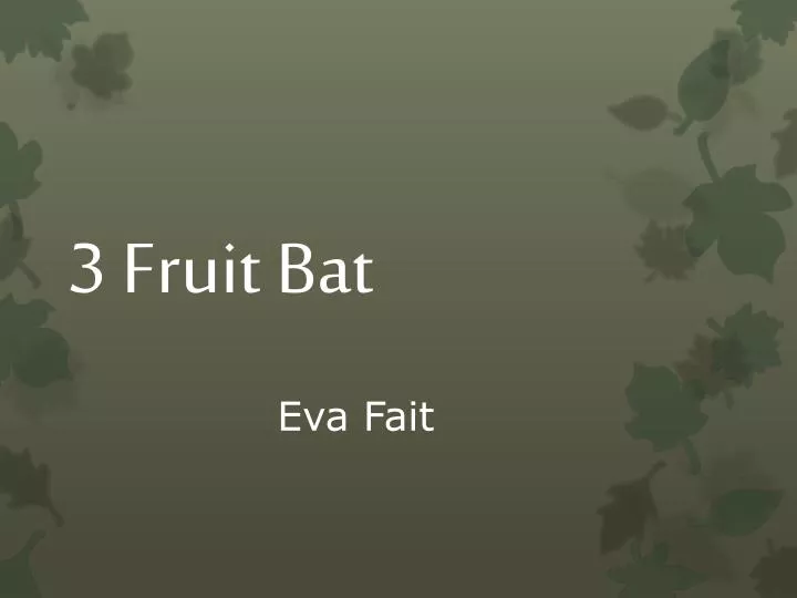 3 fruit bat
