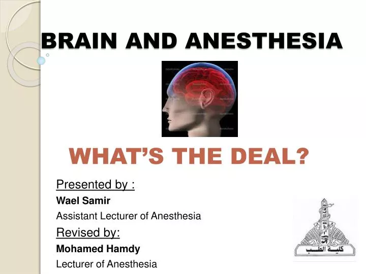 Brain And Anesthesia N 