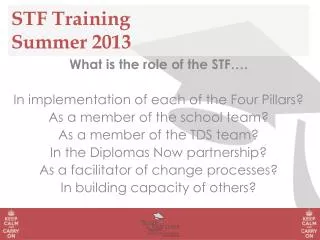 STF Training Summer 2013