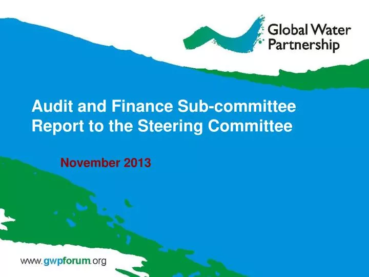 audit and finance sub committee report to the steering committee