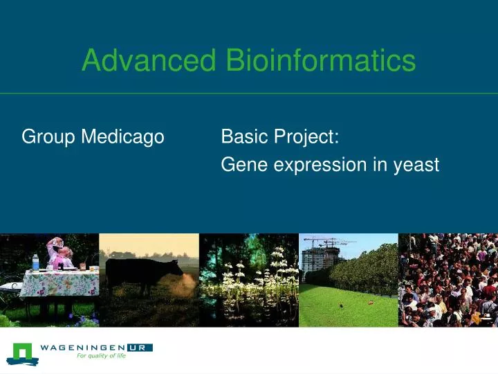 advanced bioinformatics