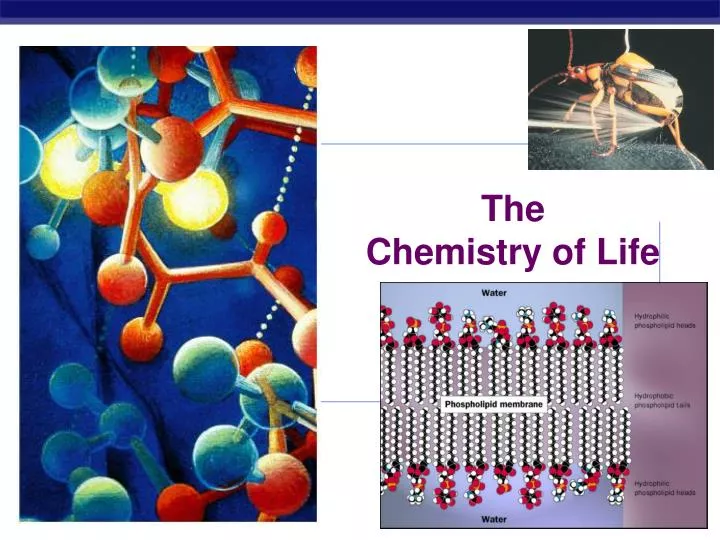 the chemistry of life