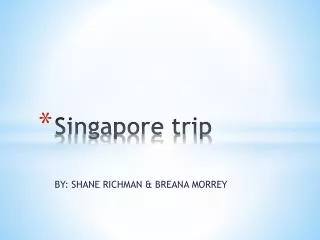 Singapore trip