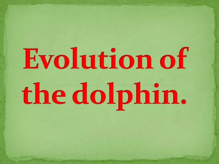evolution of the dolphin