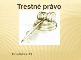 denisa bu kov 3 b