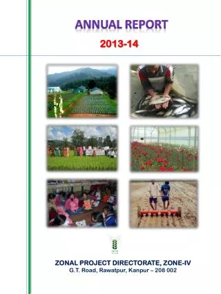 Annual report