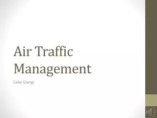 Air Traffic Management