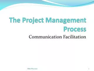 The Project Management Process