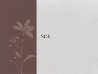 Soil