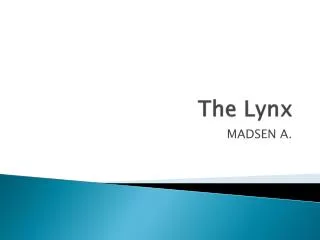 The Lynx