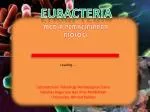 EUBACTERIA - slide 1