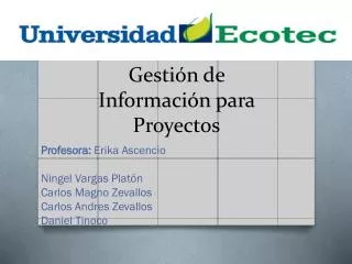 gesti n de informaci n para proyectos