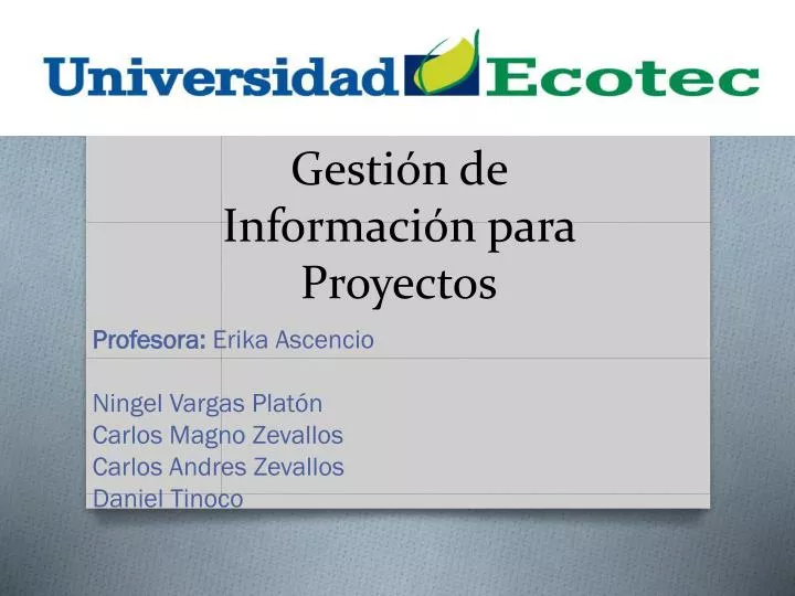 gesti n de informaci n para proyectos