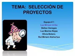 tema selecci n de proyectos