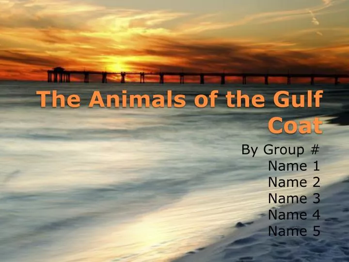 the animals of the gulf coat