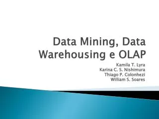 data mining data warehousing e olap