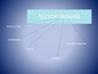 sector primari