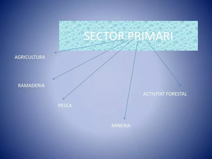 sector primari