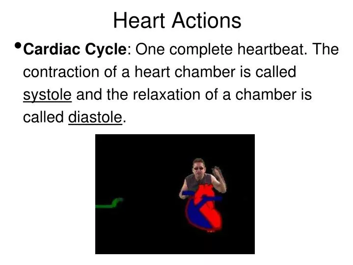 heart actions