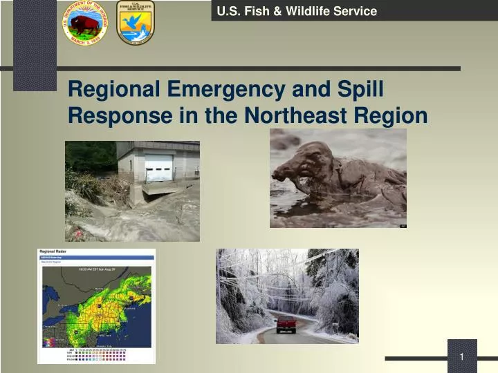 regional emergency and spill response in the northeast region