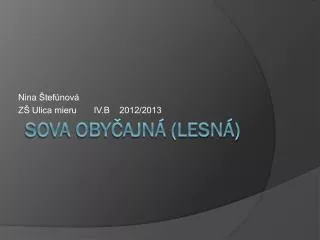 nina tef nov z ulica mieru iv b 2012 2013
