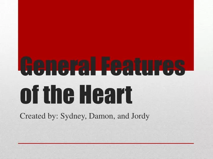 general features of the heart