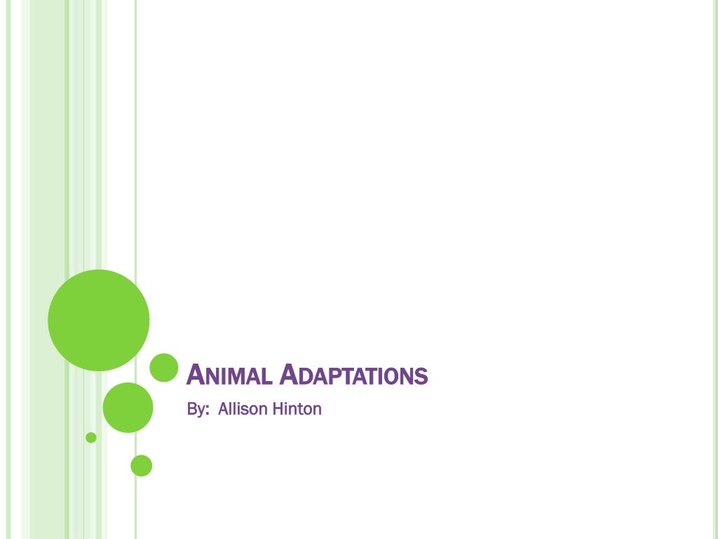 PPT - Animal Adaptations PowerPoint Presentation, free download - ID ...